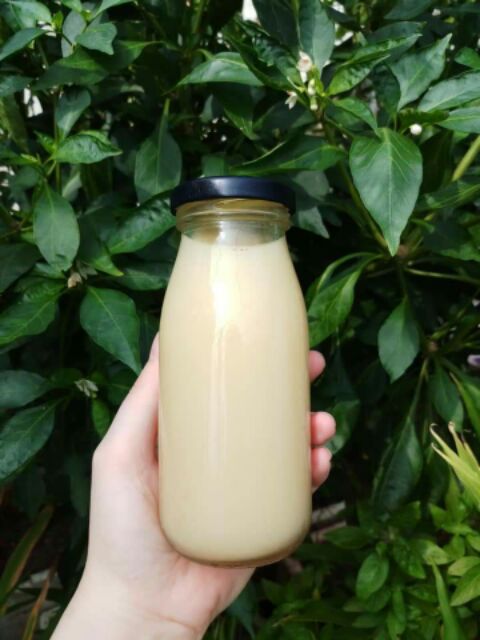 Chai sữa hạt các kích thước từ 200ml đến 500ml | WebRaoVat - webraovat.net.vn