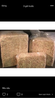 1 kg rêu sâu trồng lan