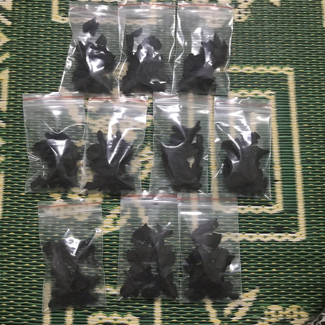 Hà thủ ô đỏ đã chế đậu đen, trà hà thủ ô 10gói 20gram | BigBuy360 - bigbuy360.vn