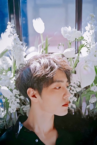 Bộ xếp hình Puzzel Tiêu Chiến 500 mảnh