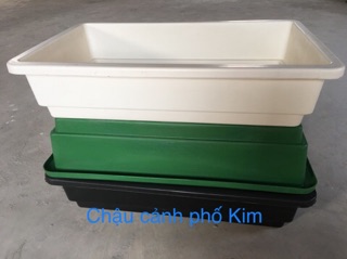 Combo 10 khay trồng rau thông minh