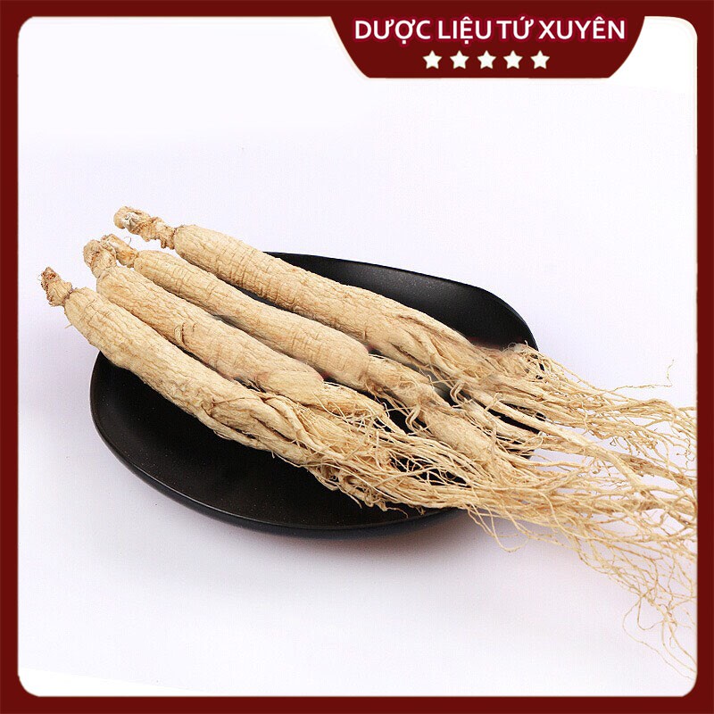 Nhân Sâm Cát Lâm  Size To, Đẹp, Thơm Hộp to 60g