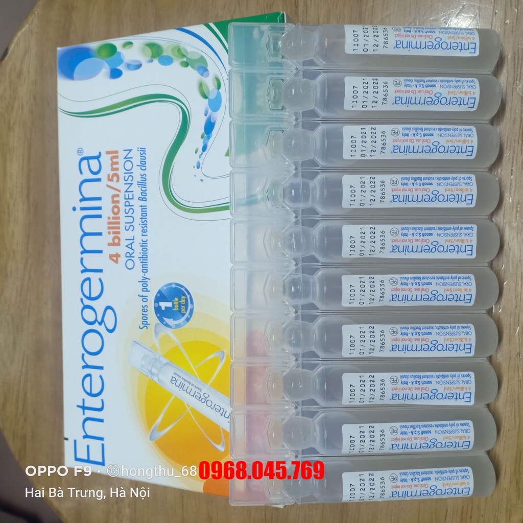 Men vi sinh Enterogermina chứa 4 tỉ bào tử Bacillus clausii mỗi ống 5ml