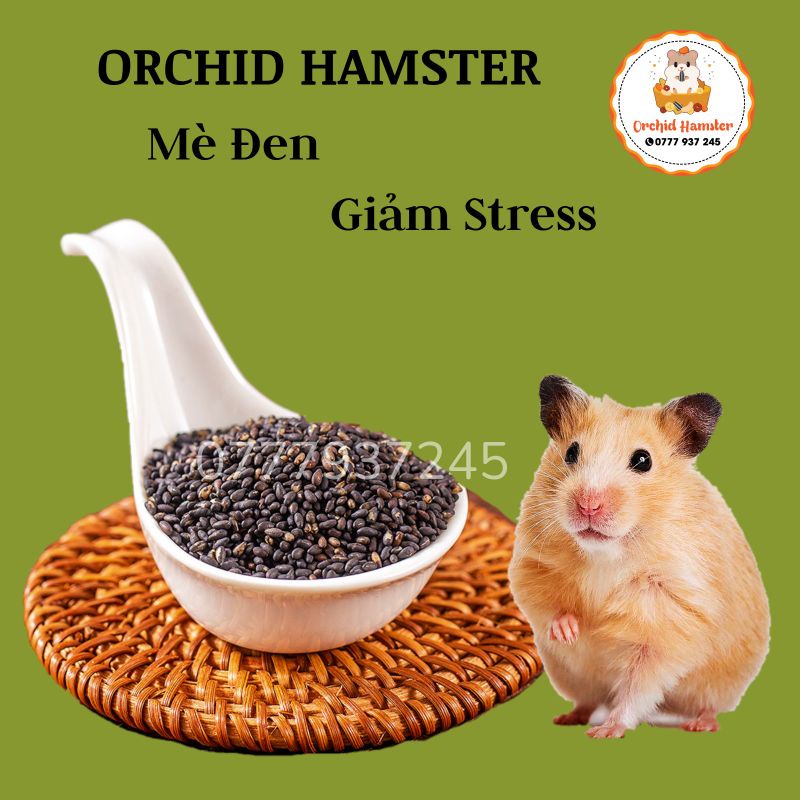 Mè Đen Dưỡng Lông cho hamster