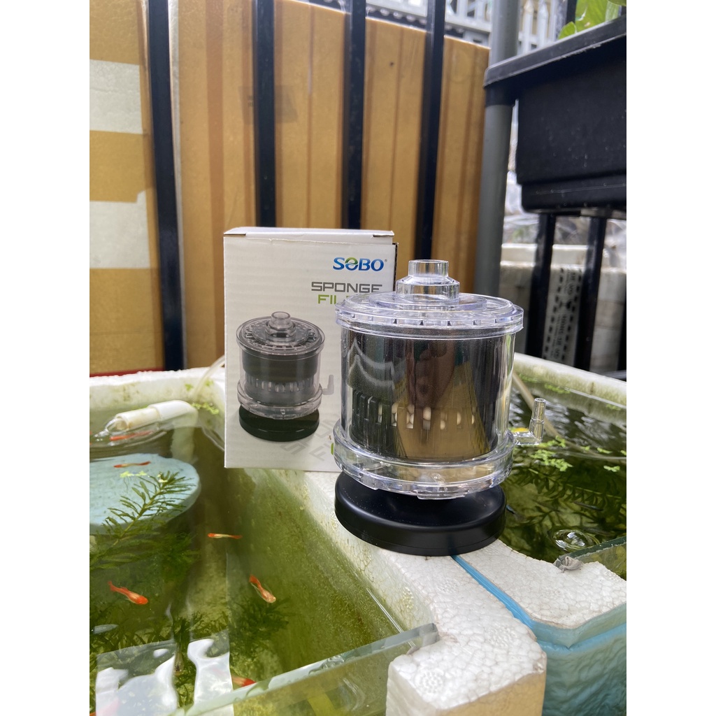 Bộ lọc vi sinh SoBO mini cho hồ cá