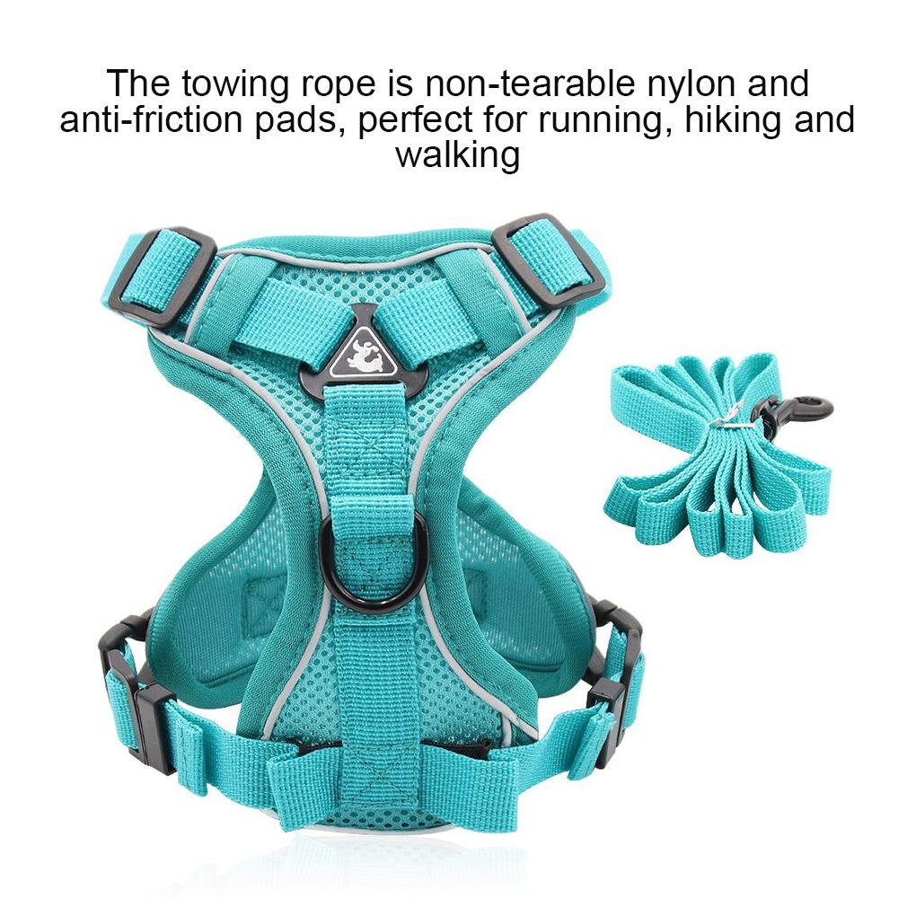 Dây Dắt Thú Cưng Đi Dạo Thiết Kế Phản Quang Thoáng Khí Tùy Chỉnh Tiện Dụng