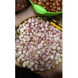 🧡🧡🧡 HÀNH PHI HOMEMADE 🧡🧡🧡