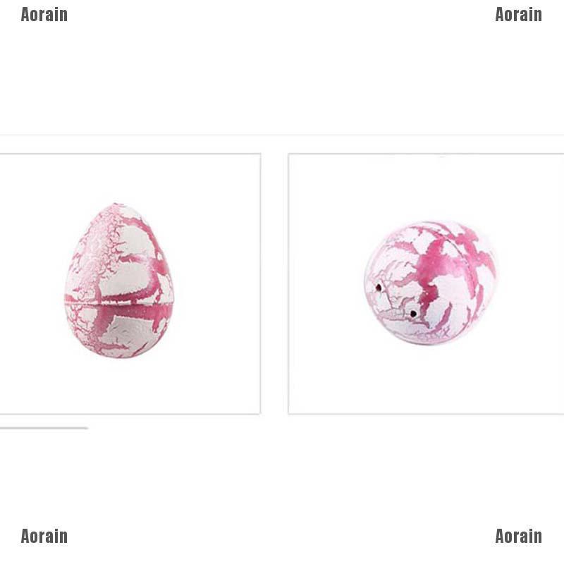 Aor Trứng Expanded Độc Đáo