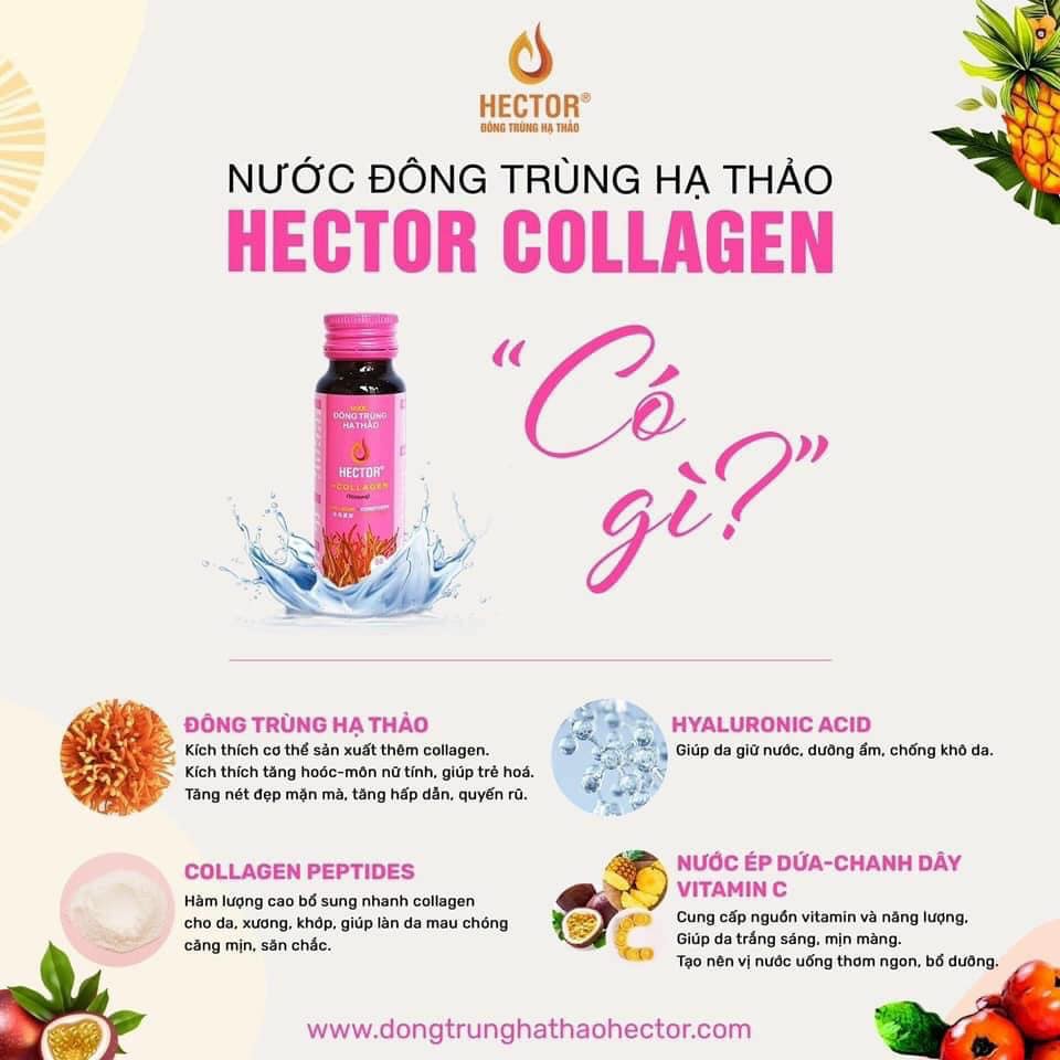 ĐÔNG TRÙNG HẠ THẢO HECTOR COLLAGEN