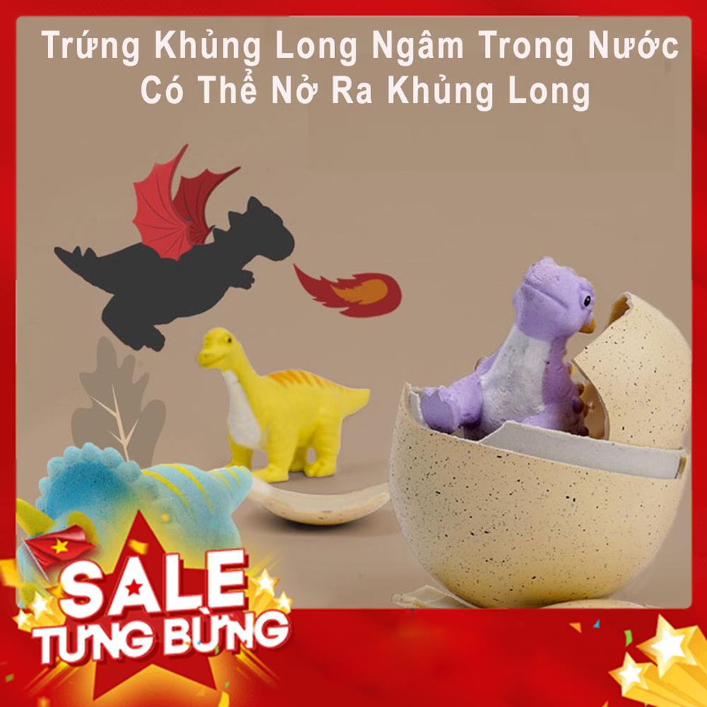 Trứng Khủng Long Ngâm Trong Nước Có Thể Nở Ra Khủng Long, Đồ Chơi Rèn Tính Kiên Nhẫn Và Trí Tuệ Cho Bé MSP68202