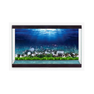 TRANH DECAL DÁN HỒ CÁ 3D_DECAL NÀNG THƠ