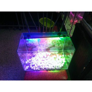 Bộ bể MJ-360 tích hợp bơm, sủi, đèn 3 chế độ