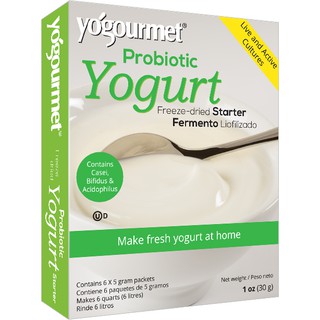 Men làm sữa chua lợi khuẩn Probiotic