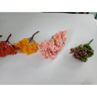 Cây trang trí tiểu cảnh