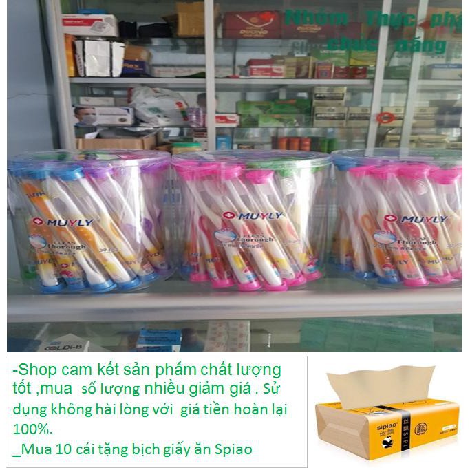 Bàn Chải Đánh Răng Hiệu MUYLY Hàng Thái Lan Có Hộp Đựng combo 10 cái