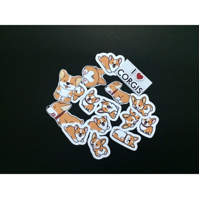 24 sticker chó corgi cute