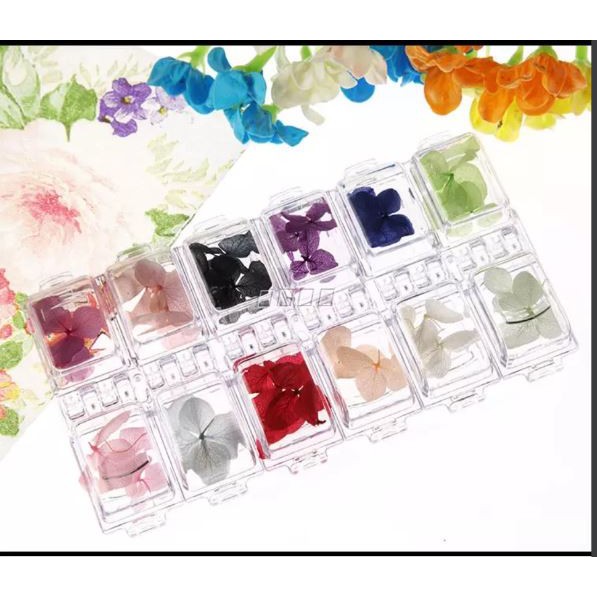 Set 12 màu hoa khô Nhật Bản trang trí móng