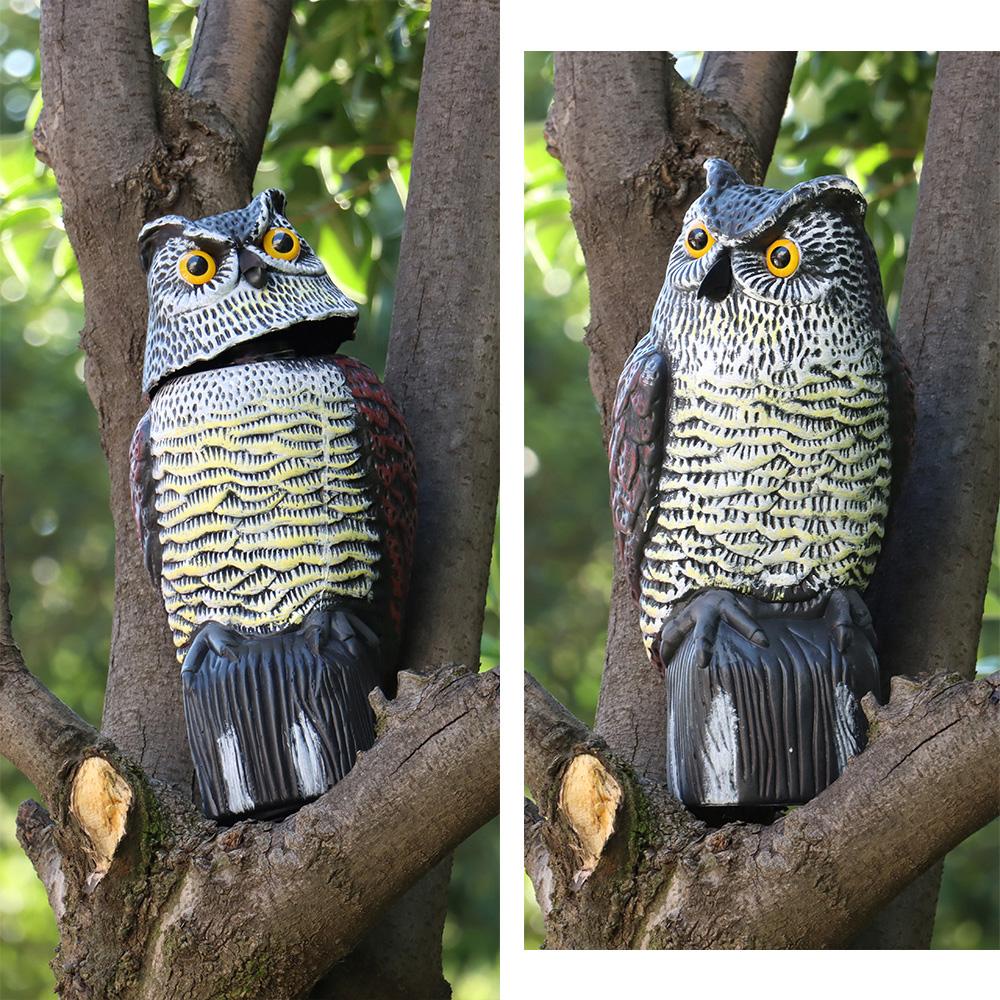 Cú Mèo Giải Trí Sống Động Như Thật Đuổi Chim Kiểm Soát Côn Trùng