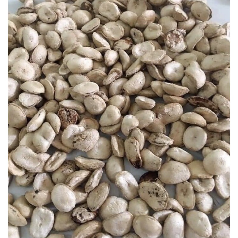 🎁💥 Hạt sang (sành) rừng 15k/ hạt ☘️💥 freeship☘️💥☘️