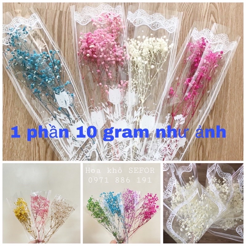 Hoa baby ướp ❤️FREESHIP❤️ Gypsophila hoa khô trang trí phòng ngủ, làm đồ handmade