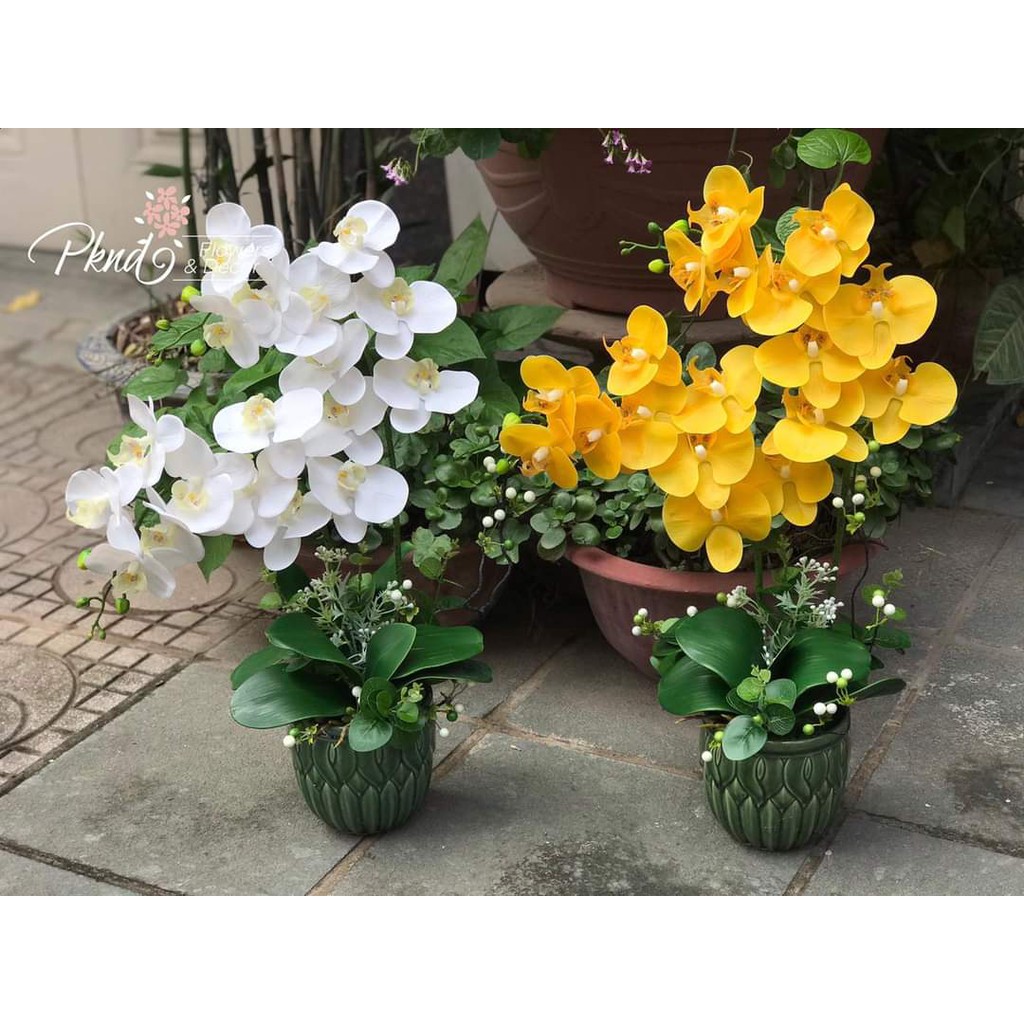 Chậu hoa lan hồ điệp giả trang trí phòng khách đẹp PKND FLOWERS & DECOR CH08