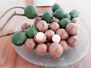 Mác Ca sấy loại 1 (0,5kg)