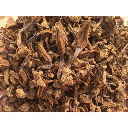 NẤM NGỌC CẨU - NGỌC CẨU KHÔ - Bán Lẻ Giá Sỉ - Cam Kết 1 Đổi 1