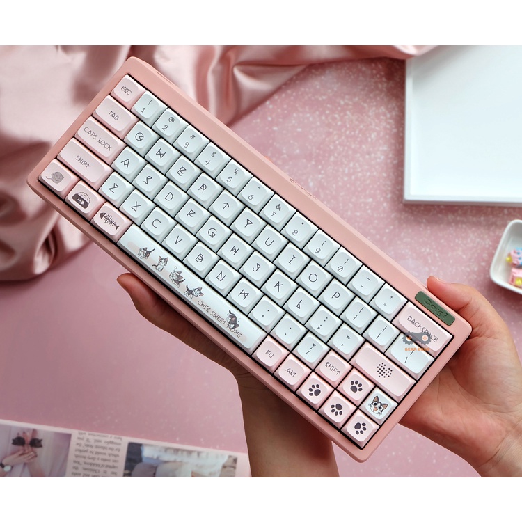 Keycap Mèo Chii Cho Bàn Phím Cơ Chất Liệu Thich PBT XDA Profile In Dyesub 138 Phím | Gearbros