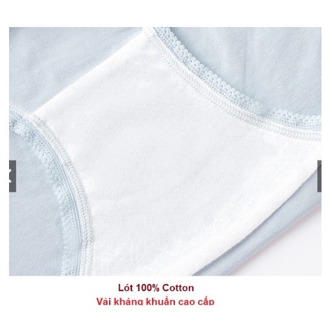 Quần lót bầu cạp cao cotton kháng khuẩn thông hơi cao cấp bigsize nâng đỡ bụng an toàn cho bà bầu QLB86130