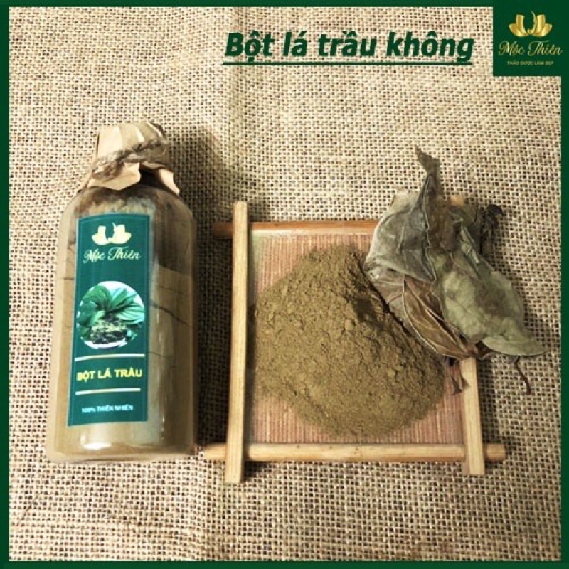 Bột lá trầu không