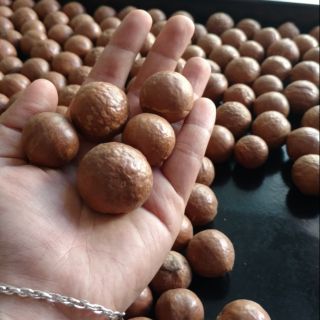 Combo hộp đựng