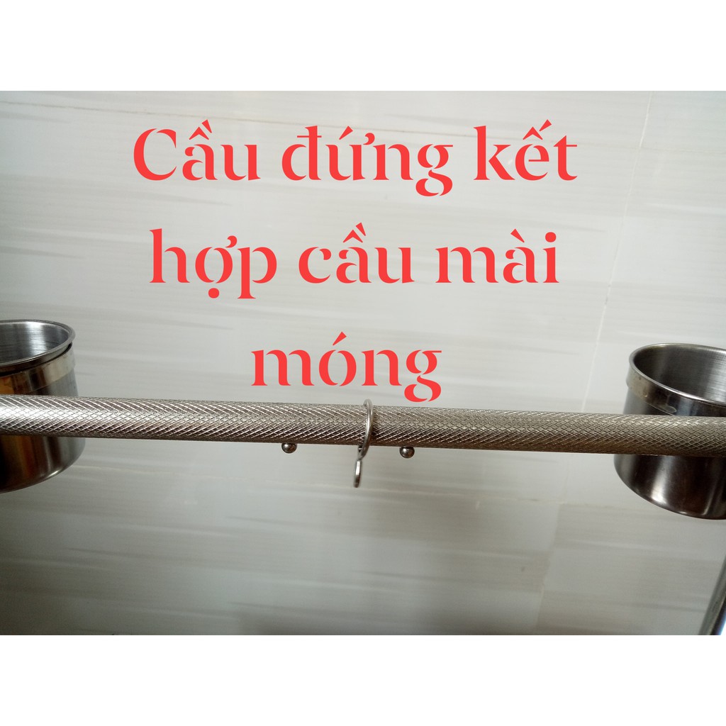 CẦU ĐỨNG CAO CẤP CHO MỌI DÒNG VẸT