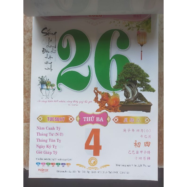 Lốc lịch đại 7màu 2024