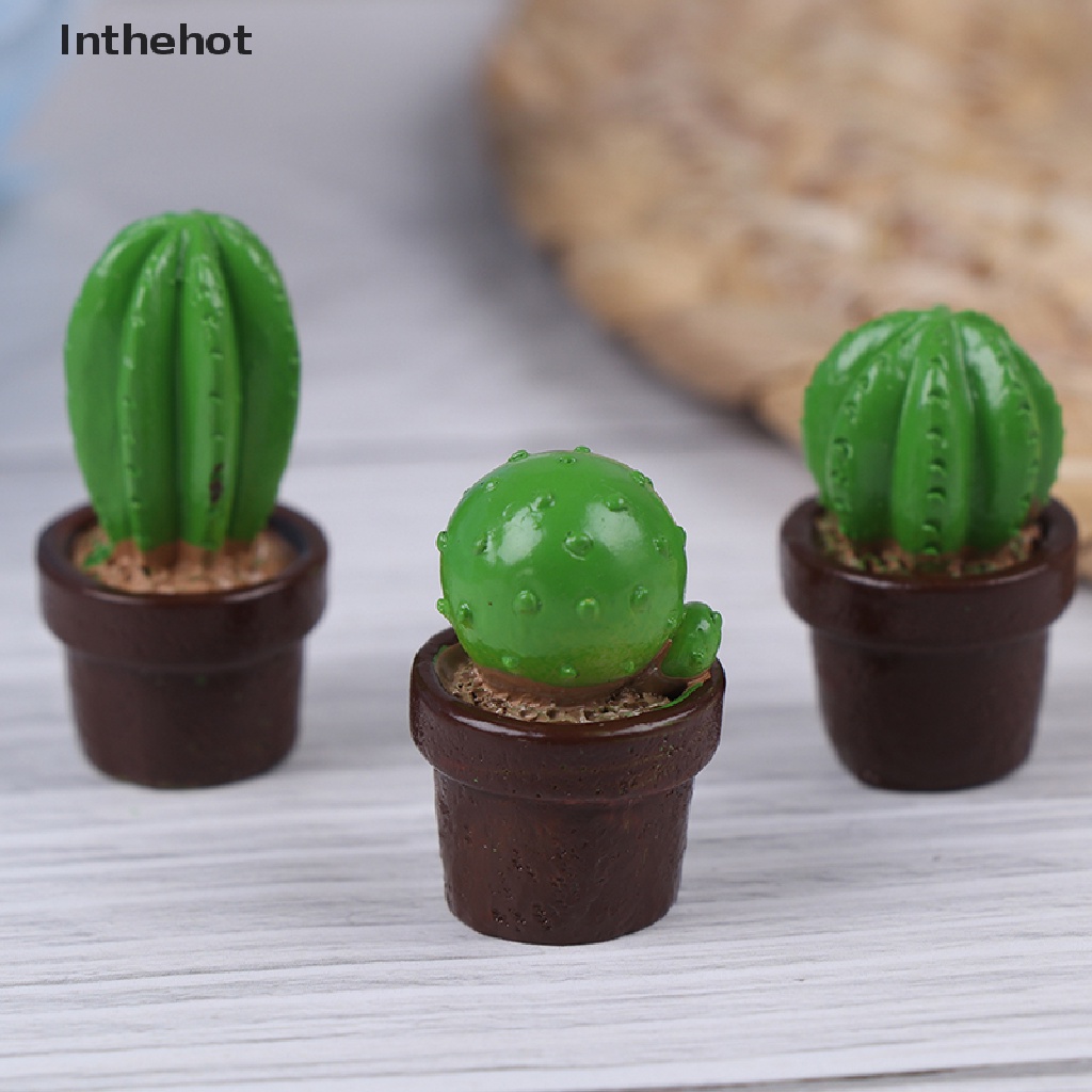 Bộ 5 Cây Xương Rồng mini Bằng Nhựa Trang Trí Nhà Cửa