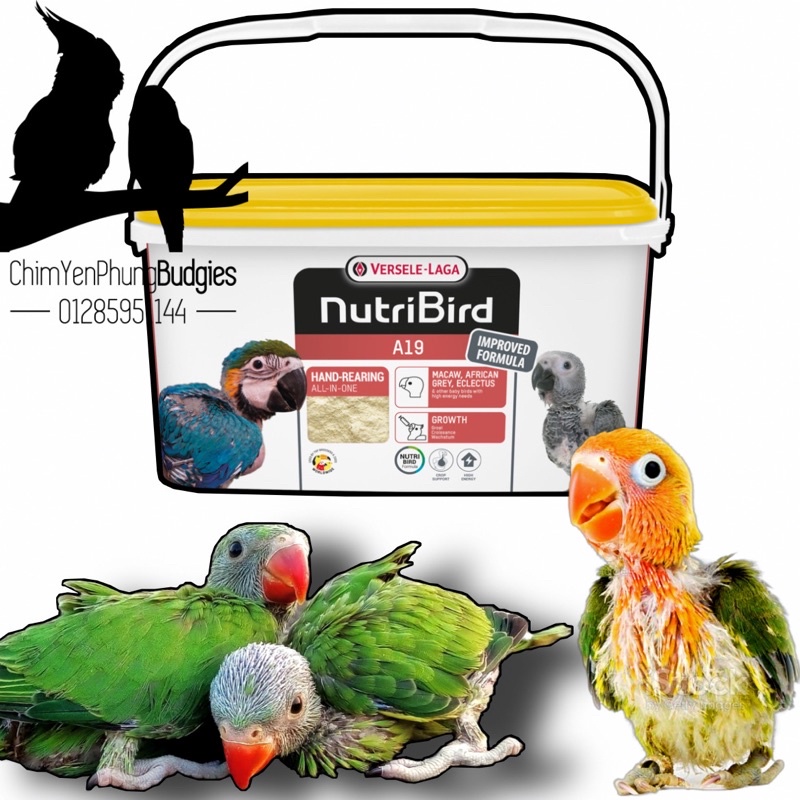 [Hoả tốc] Bột NutriBird A19 giàu dinh dưỡng cho vẹt non - XUẤT XỨ: BỈ🇧🇪🇧🇪🇧🇪-date 3/2023.