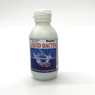 Liquid bacter - dung dịch chống sốc nước cho cá