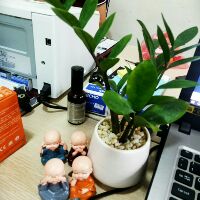 AZ SHOP-Thỏa sức mua sắm