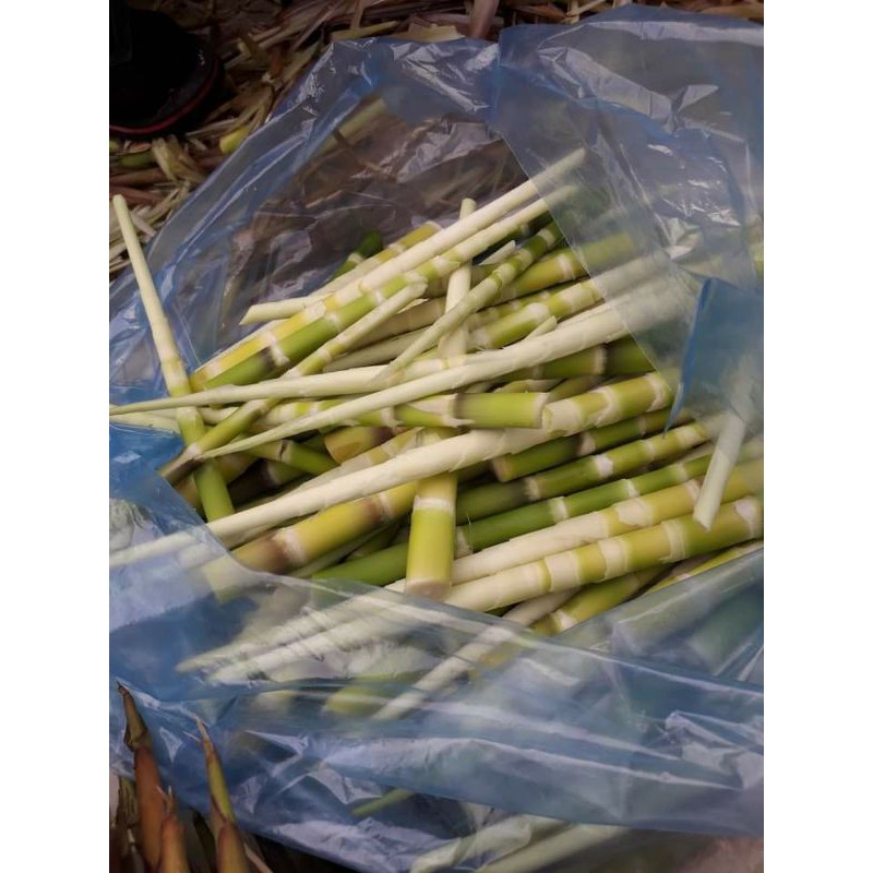 măng sặt ngâm muối tỏi ớt