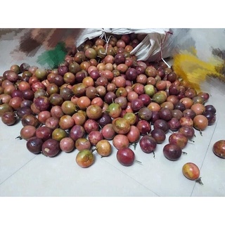 [M.MẬT.640302] • MẬT CHANH DÂY (LOẠI CÓ MỨT) _ CHAI 1.400gr