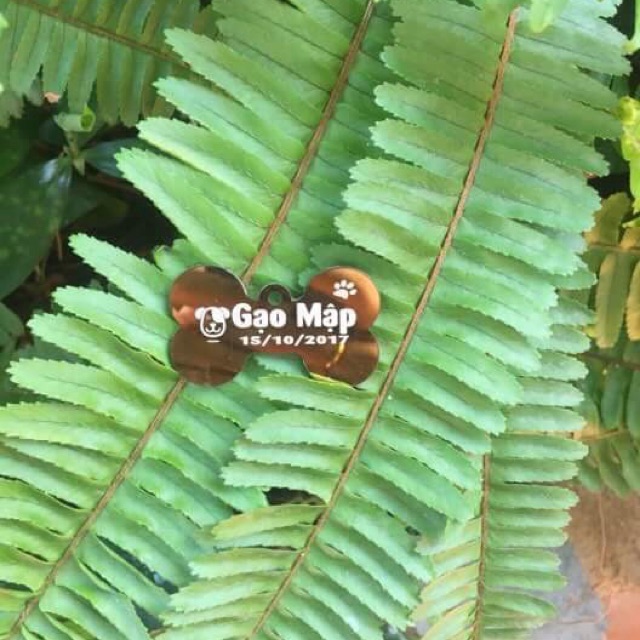 2 Thẻ tên thú cưng bất kì