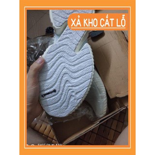 Giày Alphabounce instinct trắng