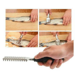 Dụng cụ đánh vảy cá inox