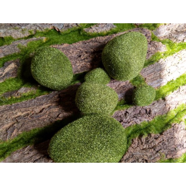 Đá rêu giả trang trí