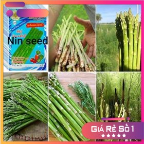 20H - HẠT GIỐNG MĂNG TÂY XANH NK Thái Lan - HGNK