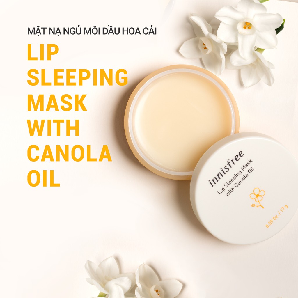 [Mã COSIF03 giảm 10% đơn 400K] Mặt nạ ngủ môi dầu hoa cải innisfree Lip Sleeping Mask With Canola Oil 17g