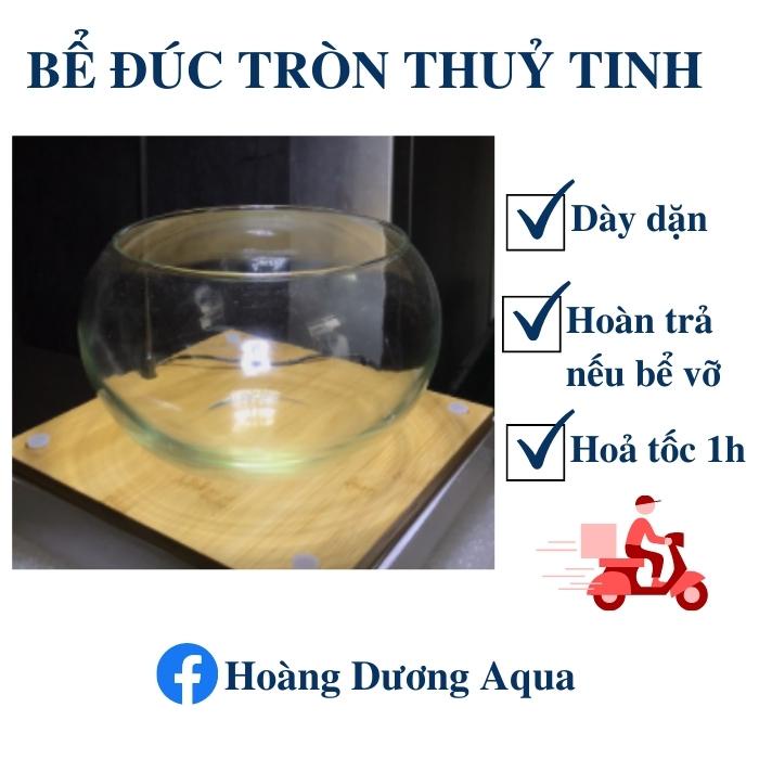 BỂ CÁ TRÒN MINI - BỂ CÁ ĐỂ BÀN