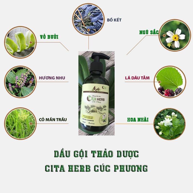 BỘ DẦU GỘI THẢO MỘC TRỊ GÀU, NẤM DA ĐẦU, TRỊ RỤNG TÓC , KÍCH THÍCH MỌC TÓC, PHỤC HỒI TÓC HƯ TỔN: