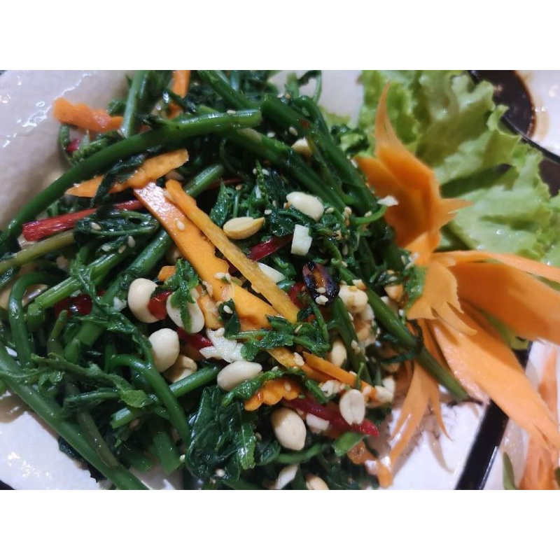🥦cây rau dớn rừng🥦 ☞cây to đại☜