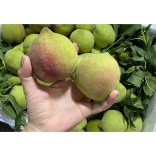 Đào mỏ quạ #170k / 10kg