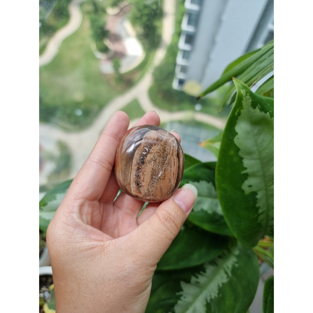 Viên Gỗ hóa thạch (Petrified Wood Palm), đá thanh tẩy tarot, reiki, phong thủy